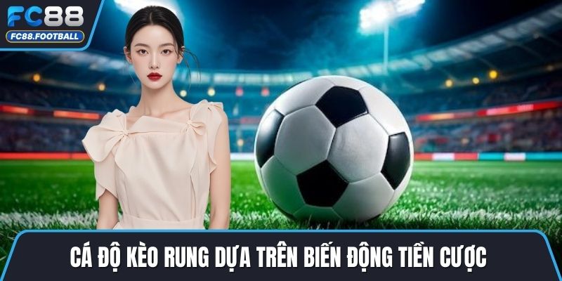 Cá độ kèo rung dựa trên biến động tiền cược