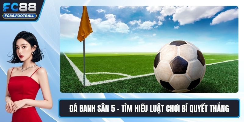 Đá banh sân 5