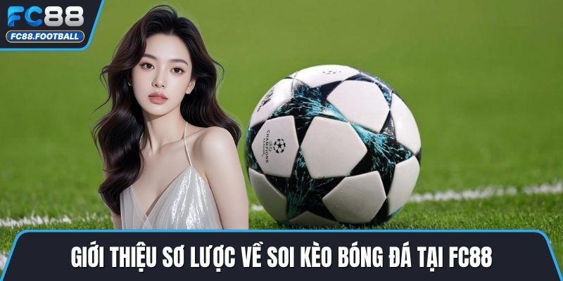 Giới thiệu sơ lược về soi kèo bóng đá tại FC88