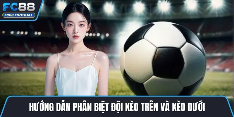 Hướng dẫn phân biệt đội kèo trên và kèo dưới