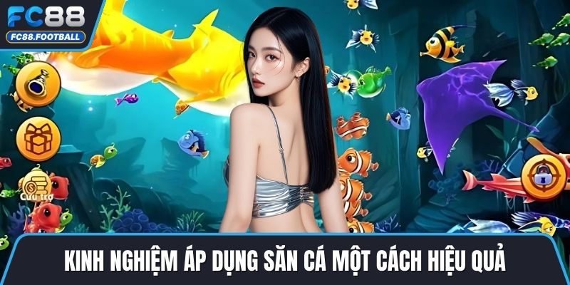 Kinh nghiệm áp dụng săn cá một cách hiệu quả
