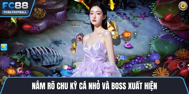 Nắm rõ chu kỳ cá nhỏ và boss xuất hiện