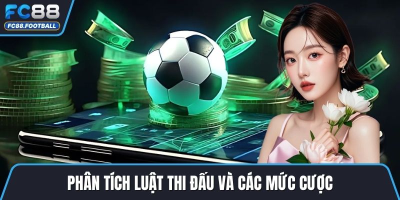 Phân tích luật thi đấu và các mức cược