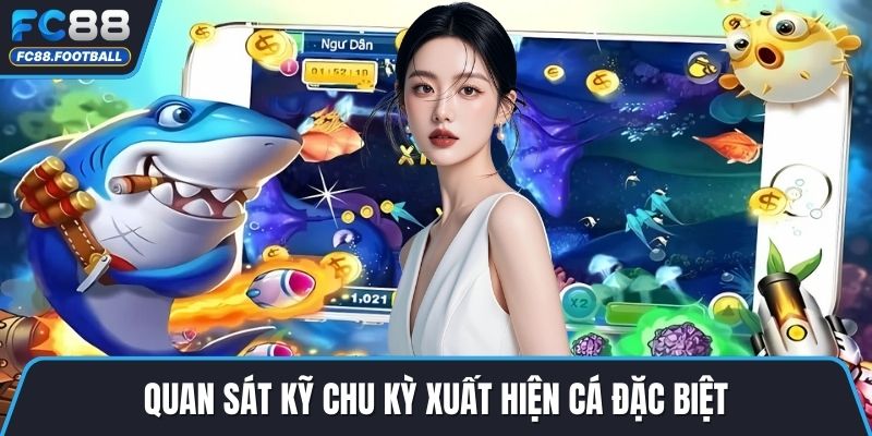 Quan sát kỹ chu kỳ xuất hiện cá đặc biệt