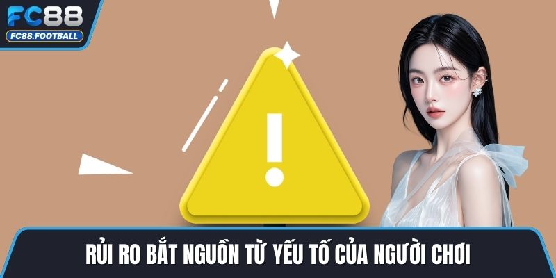 Rủi ro bắt nguồn từ yếu tố của người chơi