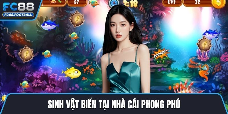 Sinh vật biển tại nhà cái phong phú