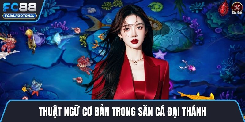Thuật ngữ cơ bản trong săn cá Đại Thánh